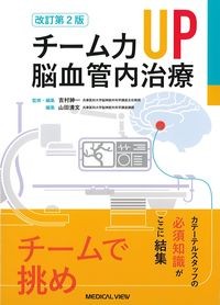 チーム力UP　脳血管内治療　改訂第2版の書影